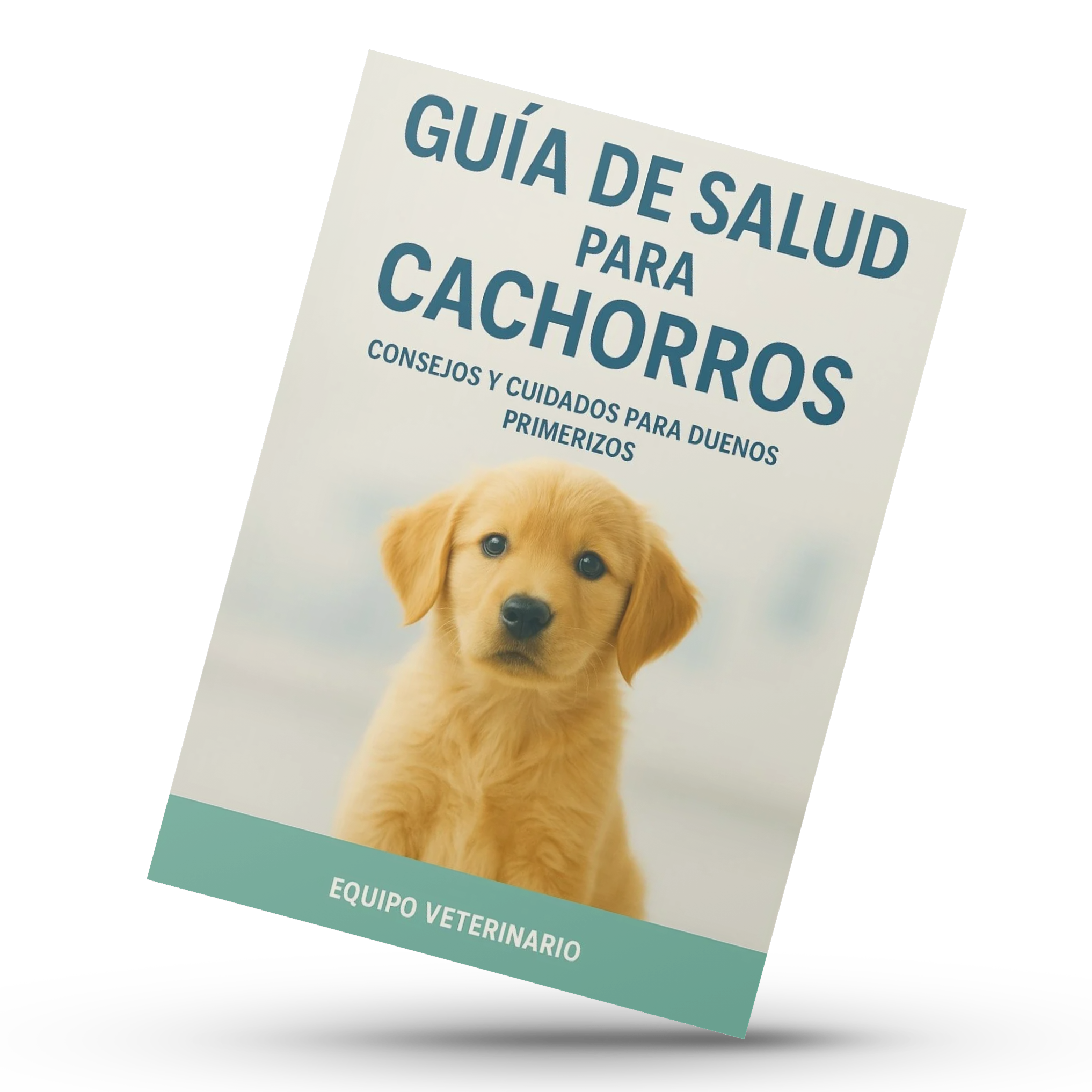 Cachorro saludable: los primeros  pasos al bienestar definitivo